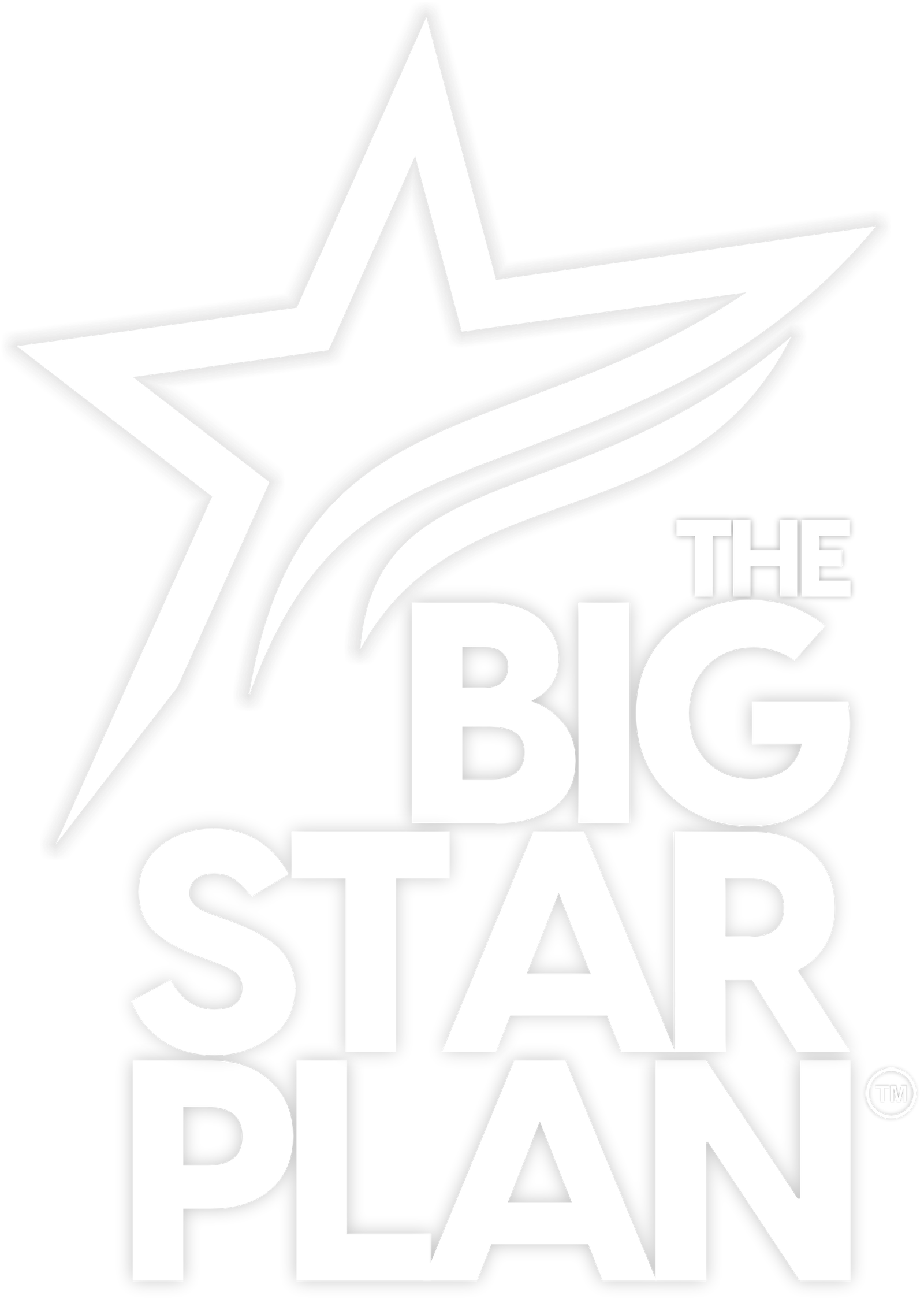 BigStar Marketing logo